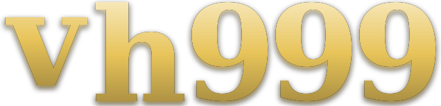 vh999 logo